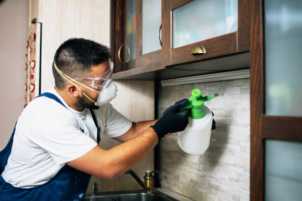 Wildlife Control Services in Mckees Rocks, PA