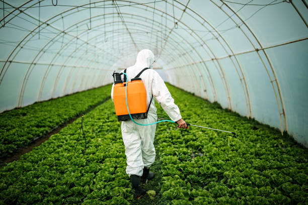 Pest Control Cost in Mckees Rocks, PA