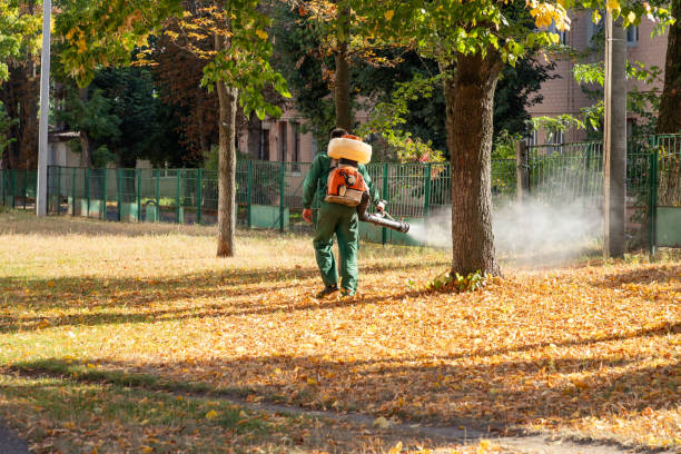 Reliable Mckees Rocks, PA Pest Control Solutions