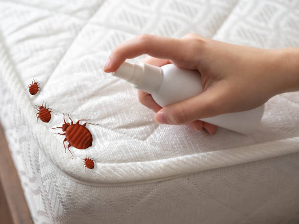 Best Local Pest Control Services  in Mckees Rocks, PA