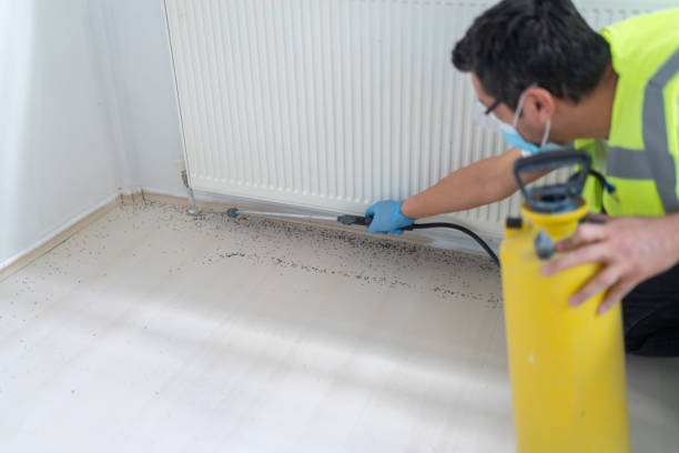 Best Mosquito Control Services  in Mckees Rocks, PA