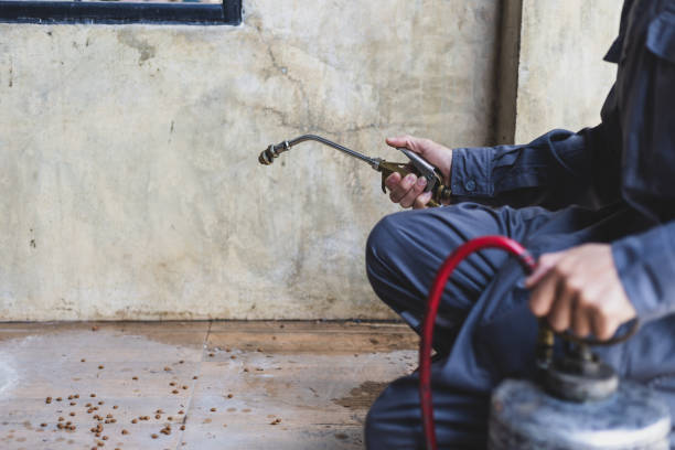 Best Pest Control Near Me in Mckees Rocks, PA