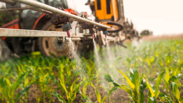 Best Commercial Pest Control Services  in Mckees Rocks, PA